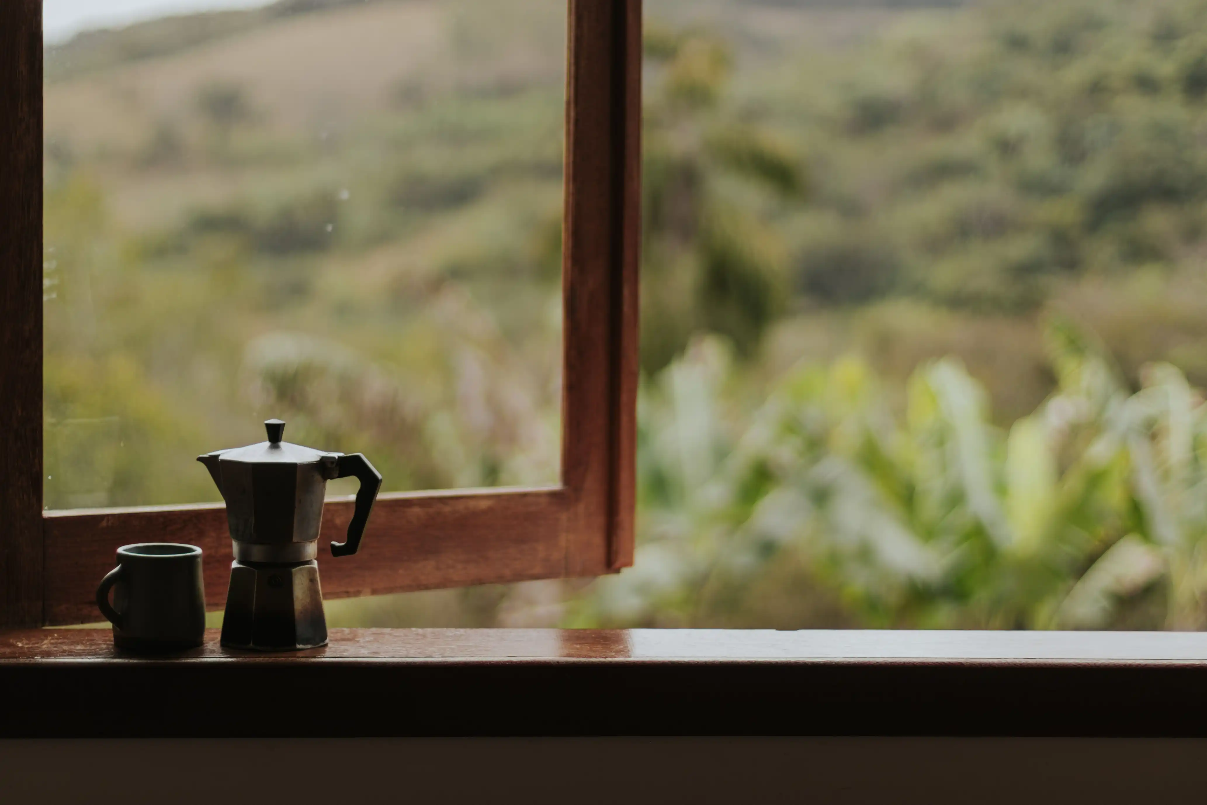 A moka pot and mug on a wooden windowsill overlooking greenery
